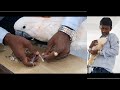 Why And How To Trim The Nails Of Birds / Nails Filing of Moluccan Cockatoo.