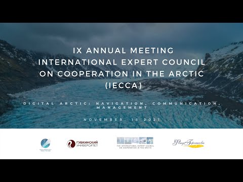 Видео: Секция IX ежегодного заседания (IECCA) 2021. Губкинский университет.