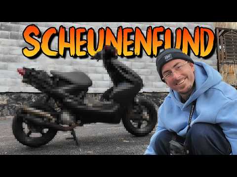 WYLD - Roller nach 8 Jahren gerettet! Ein Traum wird wahr 