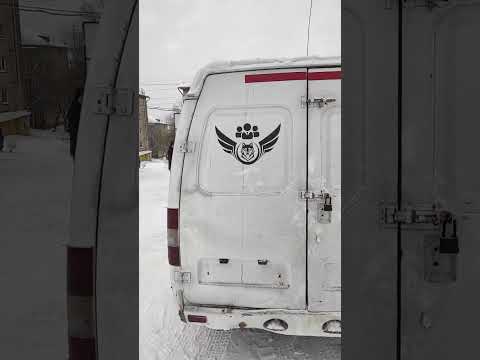 Шипованная резина на газель