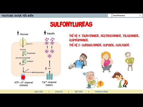 Video Dược lý các thuốc điều trị đái tháo đường,... - youtube