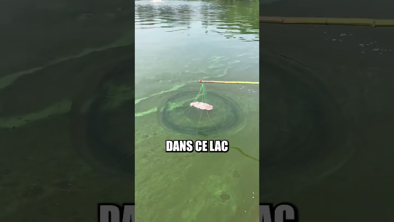 Ces pêcheurs sont très intelligent 