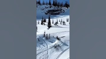 Snowmobile Jumps Into Tree