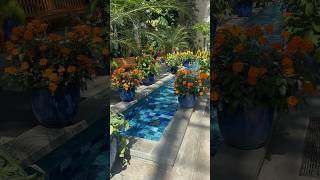 United States Botanic Garden Tour | One of the Best Free Things to Do in Washington DC 🌿