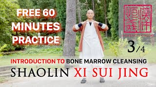 Introduction to Xi Sui Jing (3/4) 💮 DAILY 60 Minute Practice 💮
