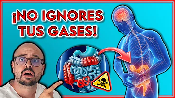 ¿Cuál es la causa del exceso de gases estomacales?