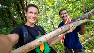 Eating a FISHTAIL PALM TREE!! 🌴 Heart of Palm Superfood! | Khao Sok, Thailand