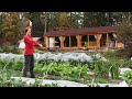 Building a passive solar strawbale cabin  15 years in 14 minutes