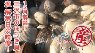 シーズンinthe産「三沢市・ほっき貝」【漁の解禁日に漁船で撮影！】絶品！バター香るほっき丼　㉗