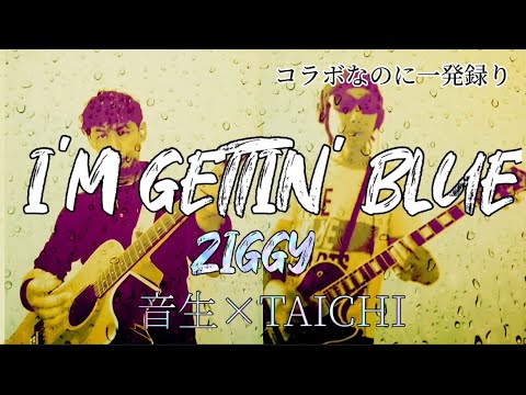 【お久しコラボ】I'M GETTIN' BLUE／ZIGGY   音生×TAICHI