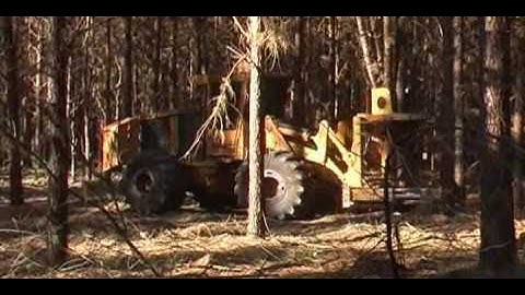 Tigercat pine thinning