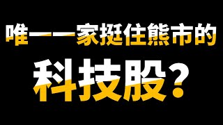 SCOMNET 0001｜科技+医疗的增长型股票！听说现在熊市？