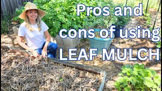 Pros and cons of using LEAF MULCH Do Oak Leaves Make Good Mulch