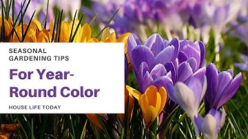 Seasonal Gardening Tips for Year-Round Color