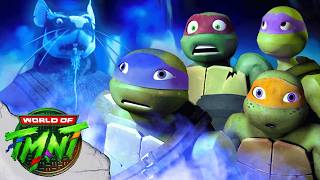 Splinter Leads the Ninja Turtles on a Quest in the Forest! | TMNT (2012)
