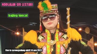 Bajing Loncat Jambu Alas Ndolalak Sri Lestari