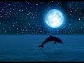 Moonlight Magic