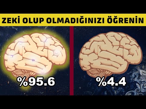 1 Dahi gibi düşünüyor musunuz? 10 soru ile öğrenin