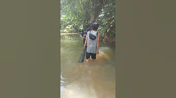 Electric Fishing Sa Dacomon August 20 2025 Electricfishing Fishing 