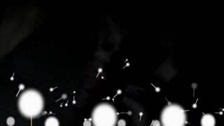 Capture 20091016 1
