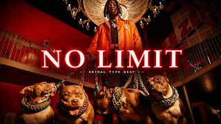 GAZO TYPE BEAT "NO LIMIT" | Drill FR Type Beat 2026