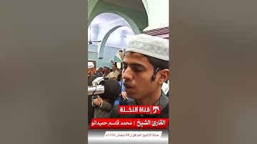 المبدع الصغير من صلاة التراويح  القارئ : محمد قاسم حميداتو | ماتيسر من سورة التوبة8 رمضان 1446ه