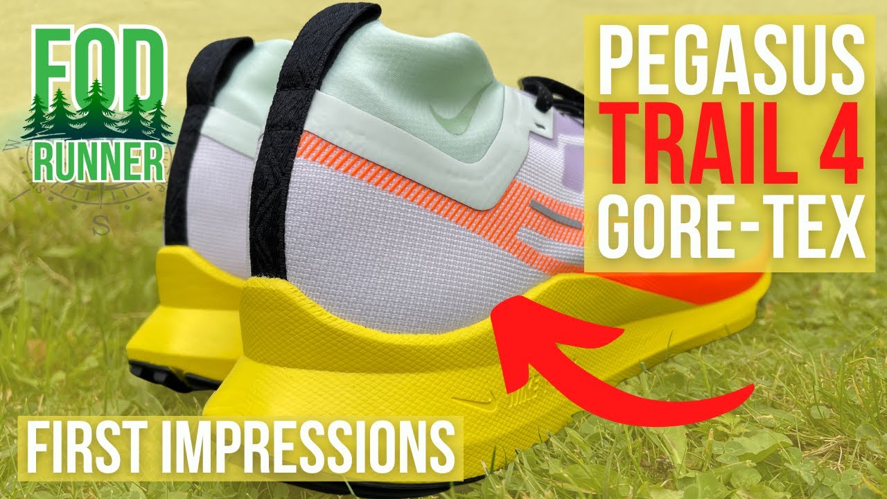 Nike Pegasus Trail 4 Gore-Tex Review 