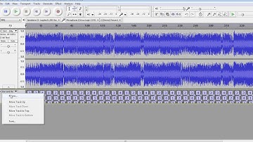 Audacity Timings