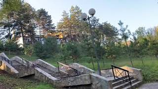 Borkovac Suma Izletiste Ruma 2021