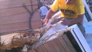 JunkGuys Austin Tx Hot Tub Pickup 512-222-4400