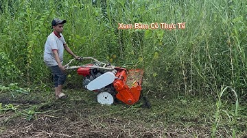 Máy băm cỏ Nhật bãi 8 ngựa giao Bình Dương