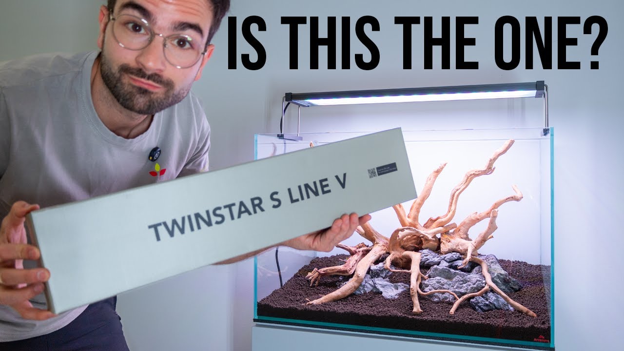 Twinstar ВЕРНУЛСЯ — станет ли серия V настоящим прорывом?