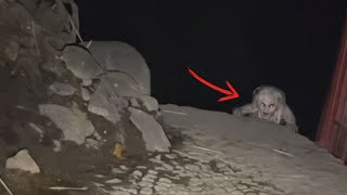 Most Disturbing Things Captured On Trail Cams (Don’t Watch Alone)