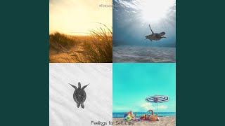 Modish Backdrops for Unwinding