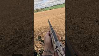 2ND BARREL DECOYED WOOD PIGEON #pigeon #fieldsports #hunting #pigeonshooting #decoy