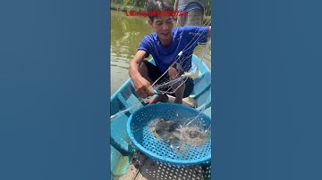 Lưới đánh cá 3 màn dài 90/100m