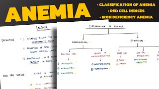 Anemia | Classification of Anemia | Iron Deficiency Anemia | Megaloblastic Anemia | Pathology