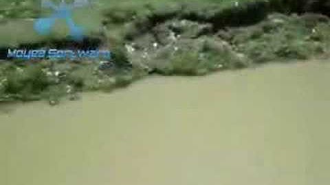 قراءة خاشعة للشيخ ناصر القطامي من سورة القصص لعام 1428هـ