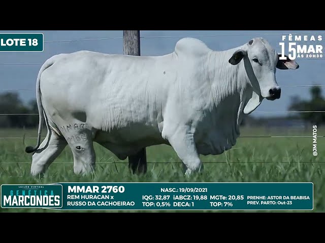 LOTE 18 MMAR 2760