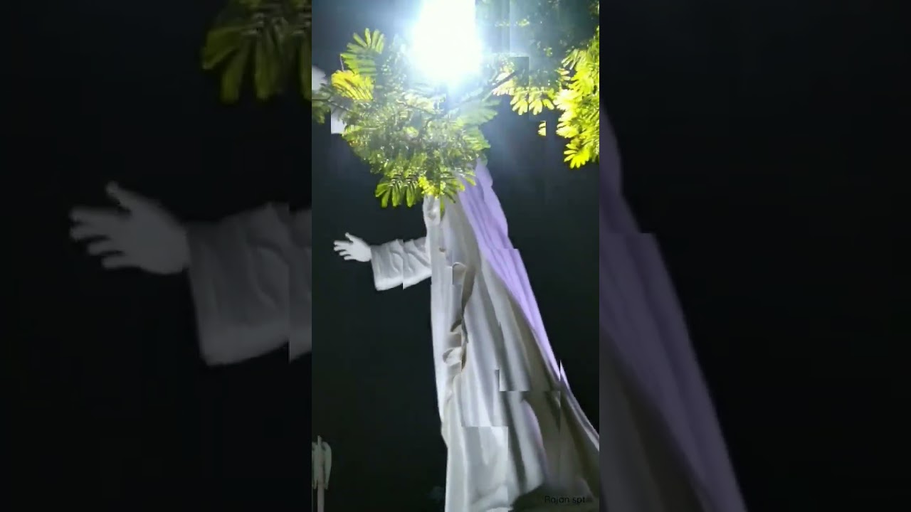 Velankanni Jesus Statue 