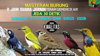 Download Lagu TOP 5 in 1 ..MASTERAN MALAM HARI  SUARA BURUNG Burger Pleci Rambatan Konin sogon dengan RELAXASI AIR MP3