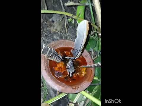 Yami osórongá  #ketu #axé #oxumare #oxumopara #yami #ya #oya