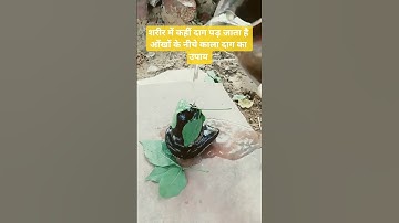 शरीर में कहीं दाग या आँखों के नीचे काले दाग हो गये हैं तो य़ह उपाय रामबाण #pardeep ji mishra 🙏🙏🙏💚🌸