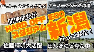 【新潟編】関東虎党がHARD OFF ECOスタジアム新潟に行ってみた/オイシックス新潟アルビレックスBC/阪神タイガース/阪神ファン/万代バスセンターカレー/高山俊/佐藤輝明/2軍/イースタン