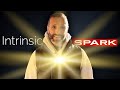 Unlock Your Intrinsic Spark & Flow State for Peak Performance | Athletes, Artists & Entrepreneurs