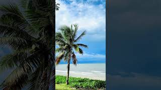 Download Lagu The Sea Make Your felling fresh with Relaxing music Calm Piano  #sea #deepsleepmusic #relaxing MP3