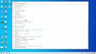 COPA_P-149(2) Write and test a python program to perform data and data type operations