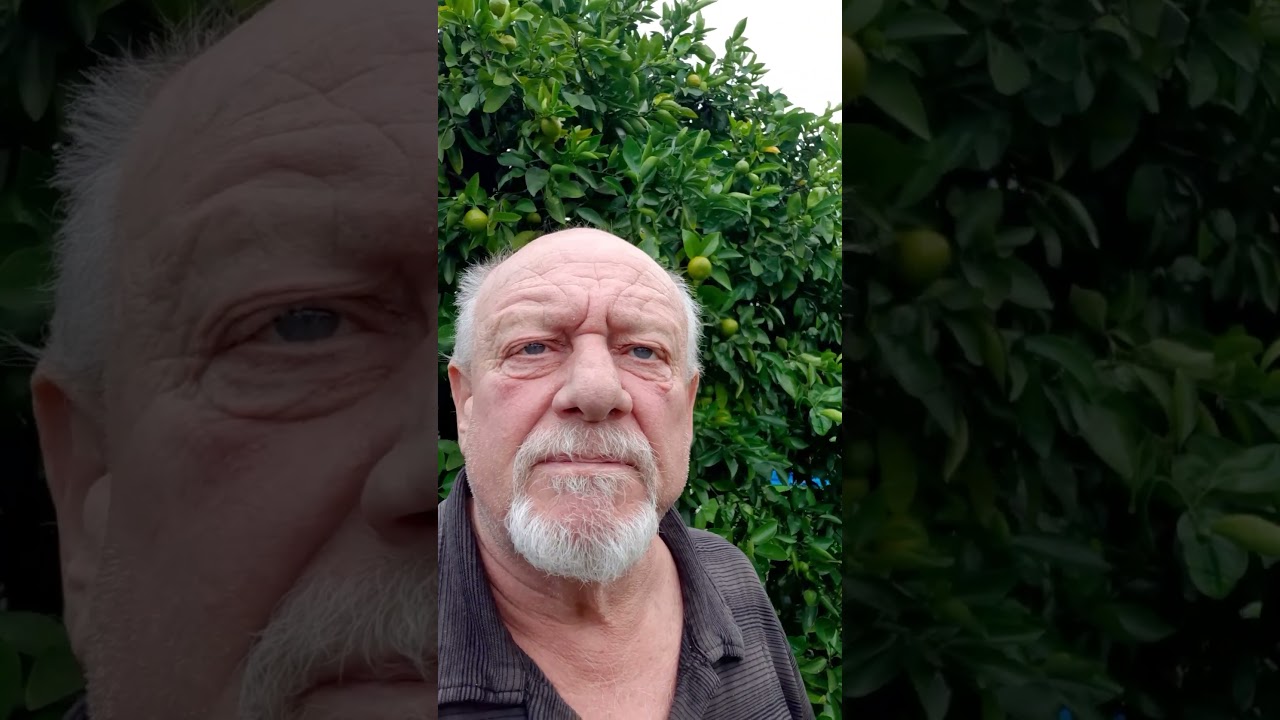 A proven Affiliate marketing system for newbies and all wannabes.