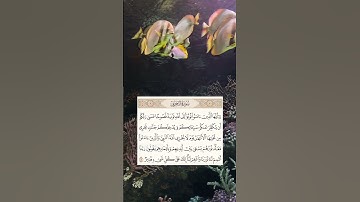 تلاوة فضيلة للقرآن الكريم عطر مسمعك بقرٱن كريم🌹 عطر مسمعك#قرآن#رمضان #ليلة_القدر#ramadan#religion