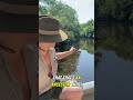 Exploring the Blueways: Alligator Encounter and Underwater Life #alligator #nature #explore